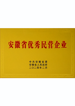 安徽省百名優秀民營企業